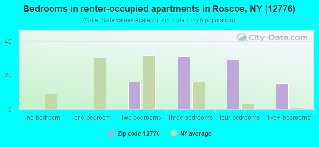 Bedrooms in renter-occupied apartments in Roscoe, NY (12776) 