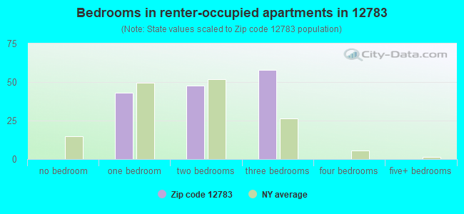 Bedrooms in renter-occupied apartments in 12783 