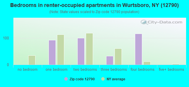 Bedrooms in renter-occupied apartments in Wurtsboro, NY (12790) 