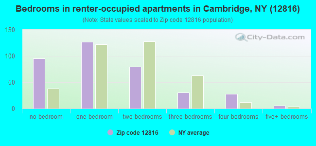 Bedrooms in renter-occupied apartments in Cambridge, NY (12816) 