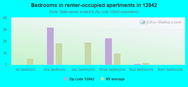 Bedrooms in renter-occupied apartments in 12842 