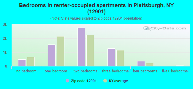 Bedrooms in renter-occupied apartments in Plattsburgh, NY (12901) 