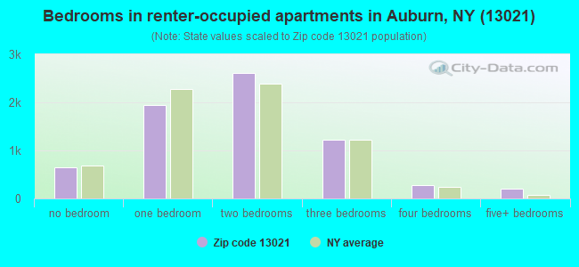 Bedrooms in renter-occupied apartments in Auburn, NY (13021) 