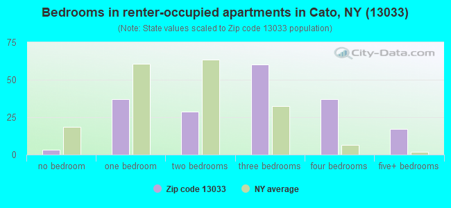Bedrooms in renter-occupied apartments in Cato, NY (13033) 