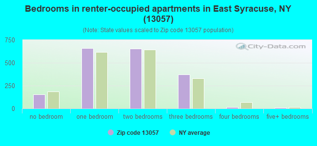 Bedrooms in renter-occupied apartments in East Syracuse, NY (13057) 