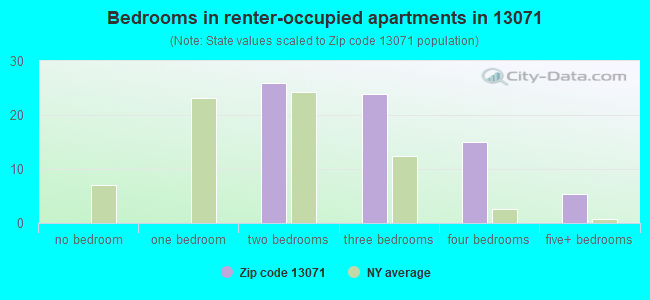 Bedrooms in renter-occupied apartments in 13071 