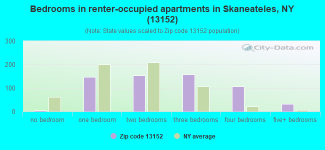 Bedrooms in renter-occupied apartments in Skaneateles, NY (13152) 