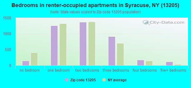 Bedrooms in renter-occupied apartments in Syracuse, NY (13205) 