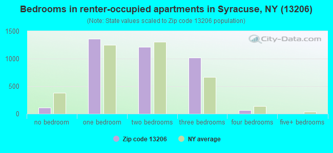 Bedrooms in renter-occupied apartments in Syracuse, NY (13206) 
