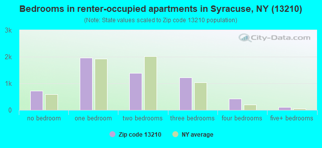 Bedrooms in renter-occupied apartments in Syracuse, NY (13210) 