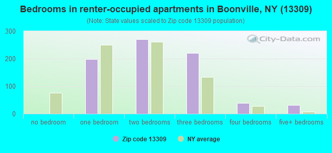 Bedrooms in renter-occupied apartments in Boonville, NY (13309) 