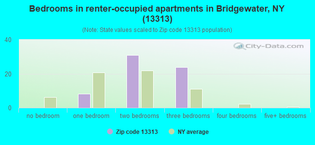 Bedrooms in renter-occupied apartments in Bridgewater, NY (13313) 