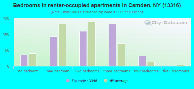 Bedrooms in renter-occupied apartments in Camden, NY (13316) 