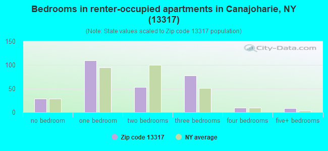 Bedrooms in renter-occupied apartments in Canajoharie, NY (13317) 
