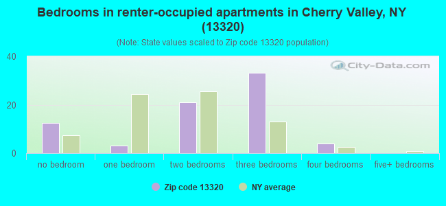 Bedrooms in renter-occupied apartments in Cherry Valley, NY (13320) 