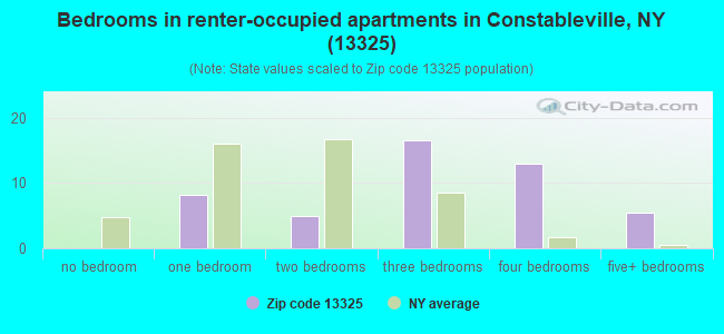 Bedrooms in renter-occupied apartments in Constableville, NY (13325) 