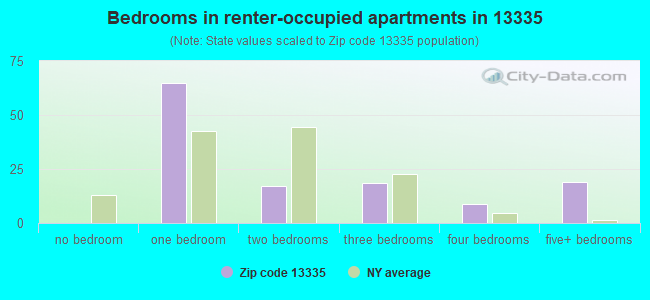 Bedrooms in renter-occupied apartments in 13335 
