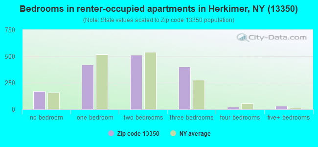 Bedrooms in renter-occupied apartments in Herkimer, NY (13350) 