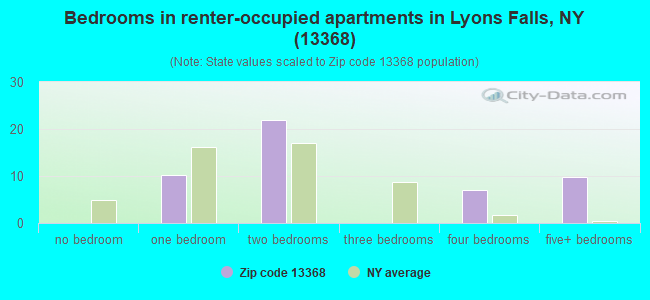 Bedrooms in renter-occupied apartments in Lyons Falls, NY (13368) 