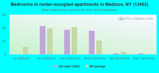 Bedrooms in renter-occupied apartments in Madison, NY (13402) 