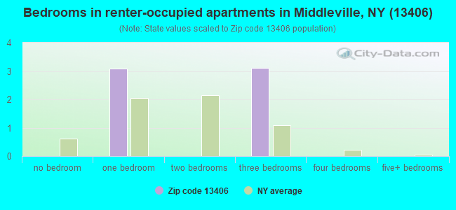 Bedrooms in renter-occupied apartments in Middleville, NY (13406) 