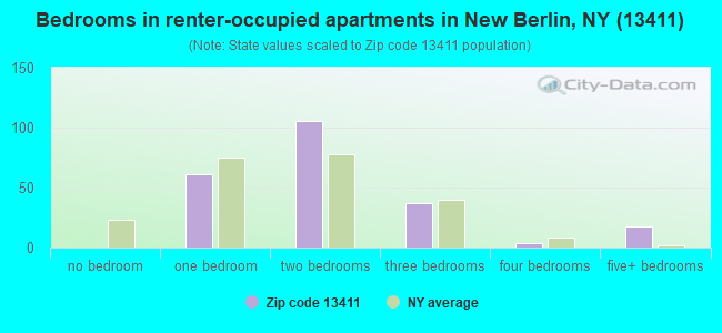 Bedrooms in renter-occupied apartments in New Berlin, NY (13411) 