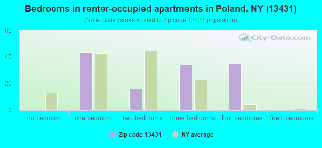 Bedrooms in renter-occupied apartments in Poland, NY (13431) 