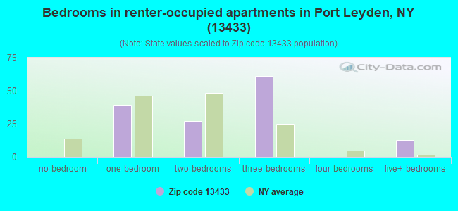 Bedrooms in renter-occupied apartments in Port Leyden, NY (13433) 