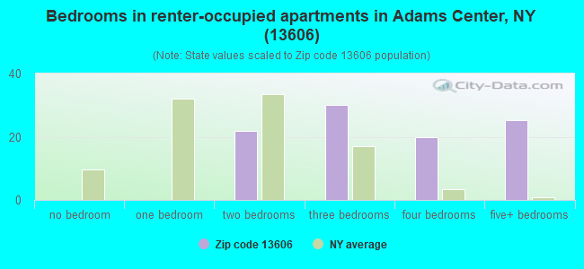 Bedrooms in renter-occupied apartments in Adams Center, NY (13606) 