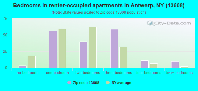 Bedrooms in renter-occupied apartments in Antwerp, NY (13608) 