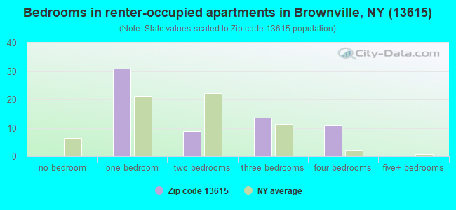 Bedrooms in renter-occupied apartments in Brownville, NY (13615) 