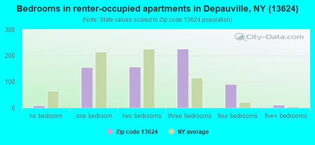 Bedrooms in renter-occupied apartments in Depauville, NY (13624) 