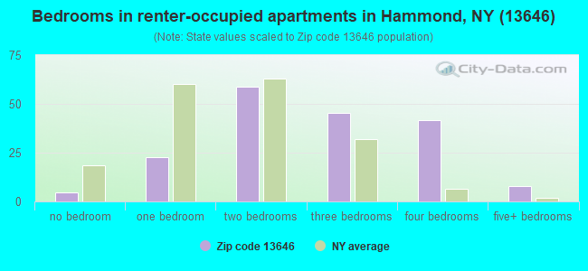 Bedrooms in renter-occupied apartments in Hammond, NY (13646) 