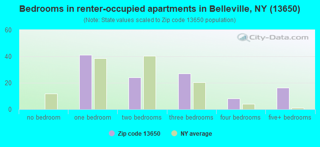 Bedrooms in renter-occupied apartments in Belleville, NY (13650) 