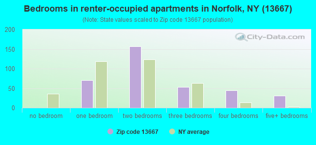 Bedrooms in renter-occupied apartments in Norfolk, NY (13667) 