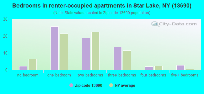 Bedrooms in renter-occupied apartments in Star Lake, NY (13690) 