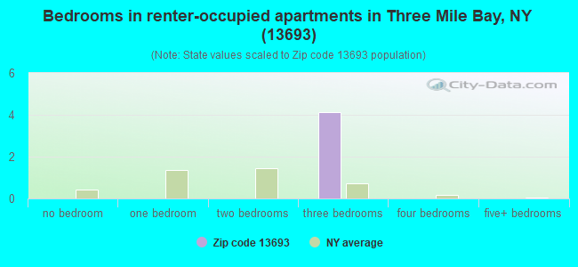 Bedrooms in renter-occupied apartments in Three Mile Bay, NY (13693) 