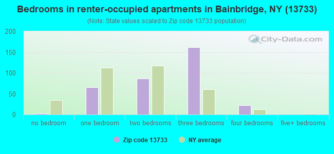 Bedrooms in renter-occupied apartments in Bainbridge, NY (13733) 