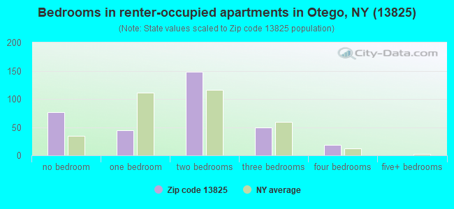 Bedrooms in renter-occupied apartments in Otego, NY (13825) 