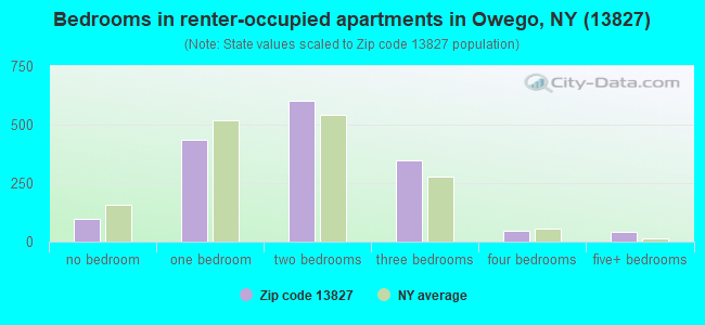 Bedrooms in renter-occupied apartments in Owego, NY (13827) 