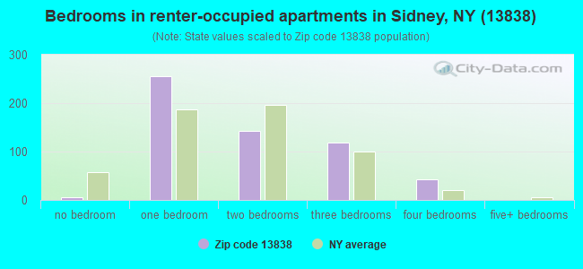 Bedrooms in renter-occupied apartments in Sidney, NY (13838) 