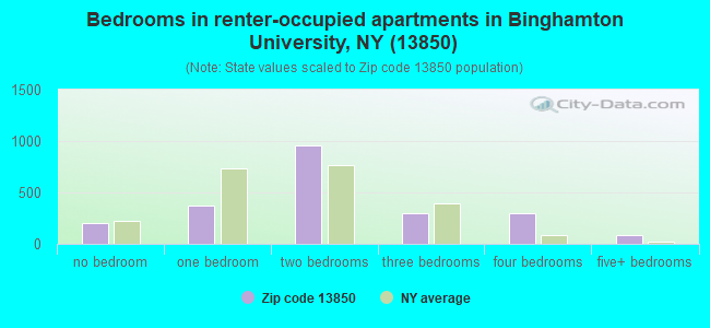 Bedrooms in renter-occupied apartments in Binghamton University, NY (13850) 