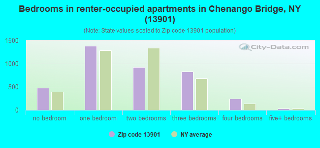 Bedrooms in renter-occupied apartments in Chenango Bridge, NY (13901) 
