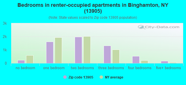 Bedrooms in renter-occupied apartments in Binghamton, NY (13905) 