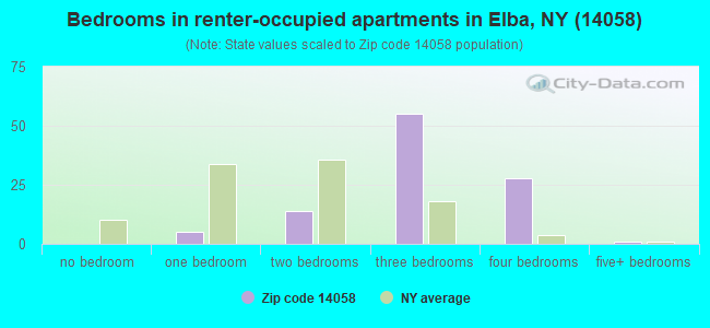 Bedrooms in renter-occupied apartments in Elba, NY (14058) 