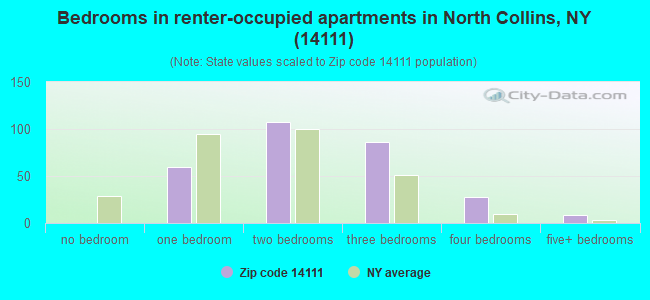 Bedrooms in renter-occupied apartments in North Collins, NY (14111) 
