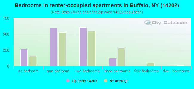 Bedrooms in renter-occupied apartments in Buffalo, NY (14202) 