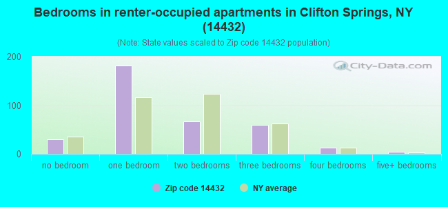 Bedrooms in renter-occupied apartments in Clifton Springs, NY (14432) 