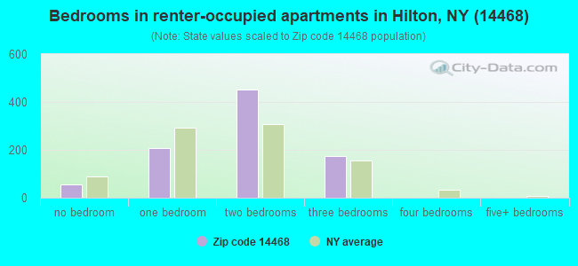 Bedrooms in renter-occupied apartments in Hilton, NY (14468) 