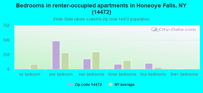 Bedrooms in renter-occupied apartments in Honeoye Falls, NY (14472) 